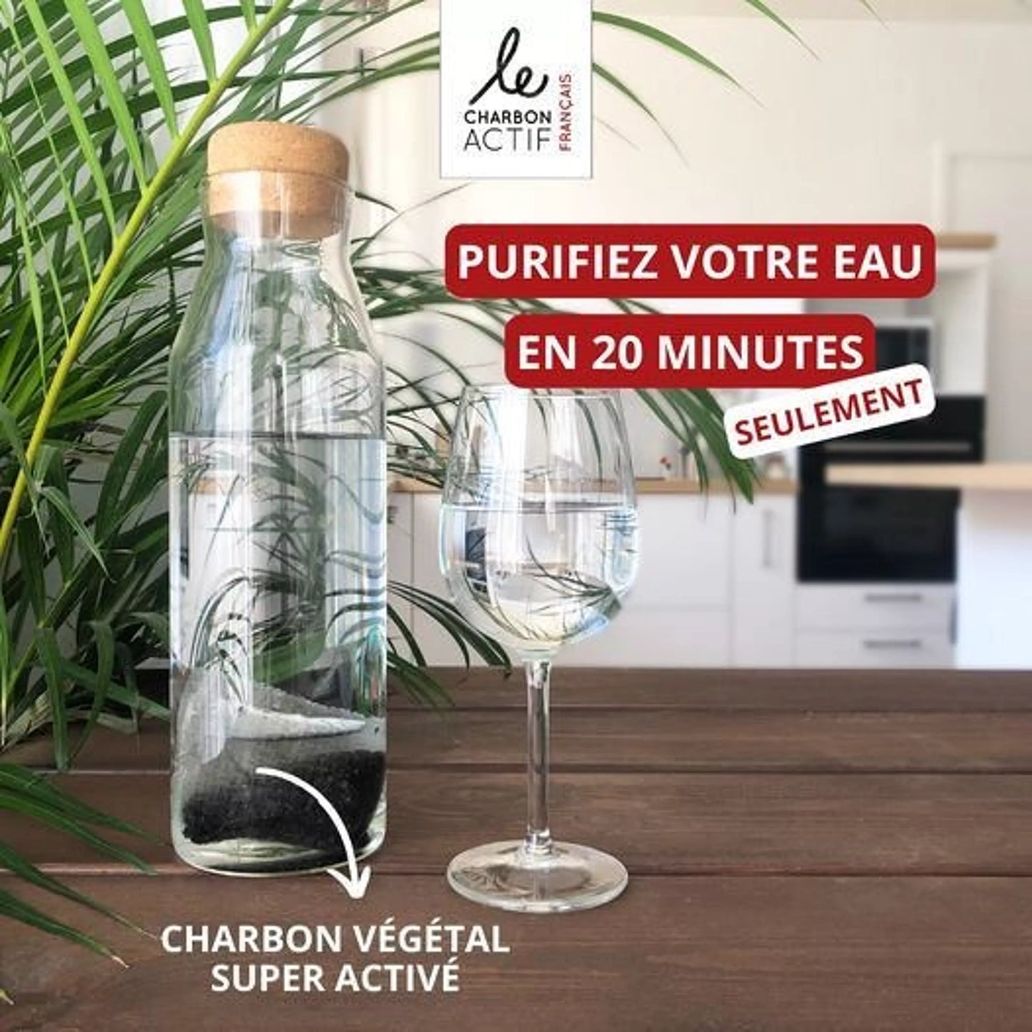 Carafe filtrante au charbon actif